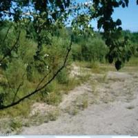 Land plot in Slovenia, Maribor, Ljubljana