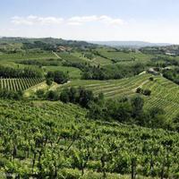 Production in Slovenia, Most na Soci