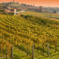 Production in Slovenia, Most na Soci