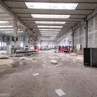 Other in Slovenia, Polje