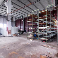 Other in Slovenia, Polje