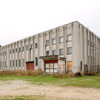 Other in Slovenia, Polje