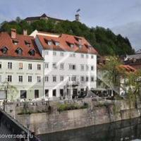 Квартира в центре города в Словении, Поле