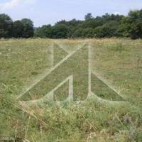 Land plot in Slovenia, Polje