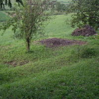 Земельный участок в Словении, Поле