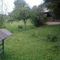 Земельный участок в Словении, Поле