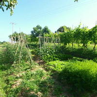 Land plot in Slovenia, Izola