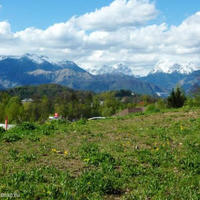 Land plot in Slovenia, Most na Soci