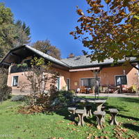 Дом в Словении, Поле, 385 кв.м.