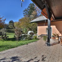 Дом в Словении, Поле, 385 кв.м.