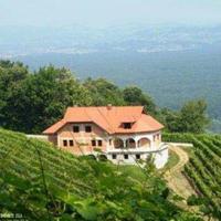 Vineyard in Slovenia, Most na Soci, 950 sq.m.