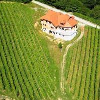 Vineyard in Slovenia, Most na Soci, 950 sq.m.