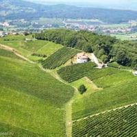 Vineyard in Slovenia, Most na Soci, 950 sq.m.