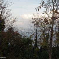 Land plot in Slovenia, Most na Soci