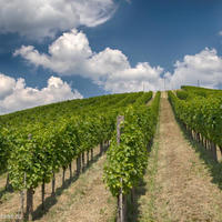 Other commercial property in Slovenia, Most na Soci, 1000 sq.m.