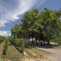 Other commercial property in Slovenia, Most na Soci, 1000 sq.m.