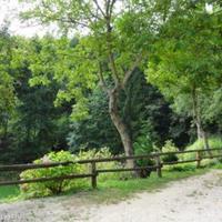 Other commercial property in Slovenia, Most na Soci, 392 sq.m.