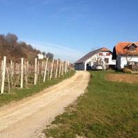 Vineyard in Slovenia, Most na Soci, 739 sq.m.