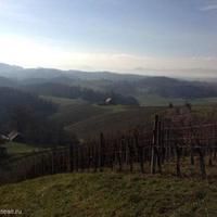 Vineyard in Slovenia, Most na Soci, 739 sq.m.