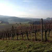 Vineyard in Slovenia, Most na Soci, 739 sq.m.