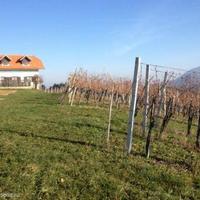 Vineyard in Slovenia, Most na Soci, 739 sq.m.