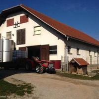 Vineyard in Slovenia, Most na Soci, 739 sq.m.