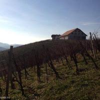 Vineyard in Slovenia, Most na Soci, 739 sq.m.