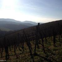 Vineyard in Slovenia, Most na Soci, 739 sq.m.