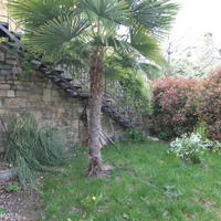 Дом в Словении, Мост-на-Сочи, 200 кв.м.