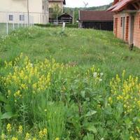 Other commercial property in Slovenia, Most na Soci, 360 sq.m.