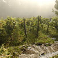 House in Slovenia, Most na Soci, 115 sq.m.