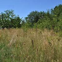 Land plot in Slovenia, Most na Soci