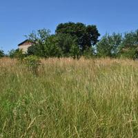 Land plot in Slovenia, Most na Soci