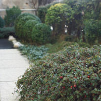 Дом в Словении, Поле, 250 кв.м.