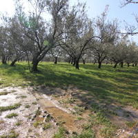 Земельный участок в Словении, Копер