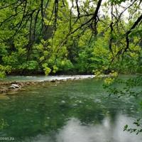 Other commercial property in Slovenia, Most na Soci, 240 sq.m.