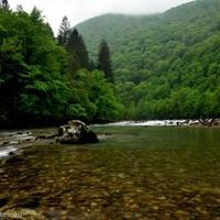 Other commercial property in Slovenia, Most na Soci, 240 sq.m.