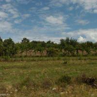 Land plot in Slovenia, Koper