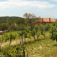 Land plot in Slovenia, Koper