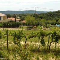 Land plot in Slovenia, Koper