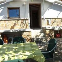 Виноградник в Словении, Копер