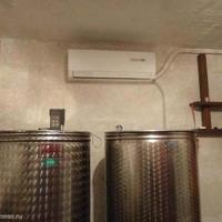 Виноградник в Словении, Копер