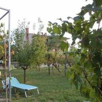 Виноградник в Словении, Копер