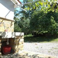 Виноградник в Словении, Копер