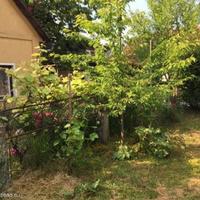 Дом в Словении, Мост-на-Сочи, 140 кв.м.