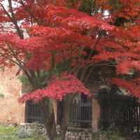 Квартира в Словении, Поле, 91 кв.м.