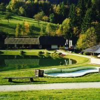 Другая коммерческая недвижимость в Словении, Мост-на-Сочи