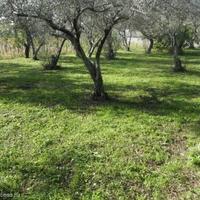 Land plot in Slovenia, Koper