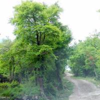 Дом в Словении, Мост-на-Сочи, 100 кв.м.