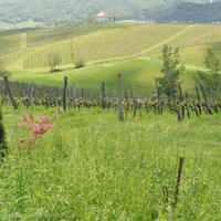 Земельный участок в Словении, Мост-на-Сочи